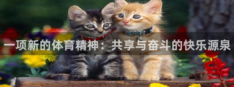 米兰体育官网下载软件:一项新的体育精神:共享与奋斗的快乐源泉